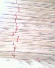 �c(di��n)���鿴��ľ�ΰ�Ŵ�DƬ