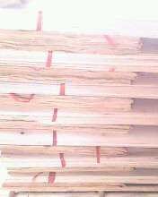 �c(di��n)���鿴��ľ�ΰ�Ŵ�DƬ