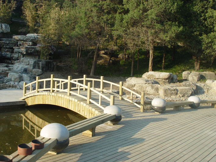 �c���鿴�����ɷŴ�DƬ