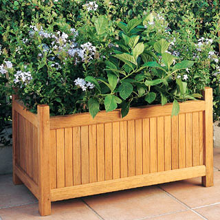 �����Ԕ��(x��)��B