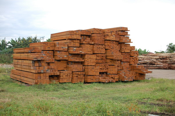 �c(di��n)���鿴����ľ�ķŴ�DƬ