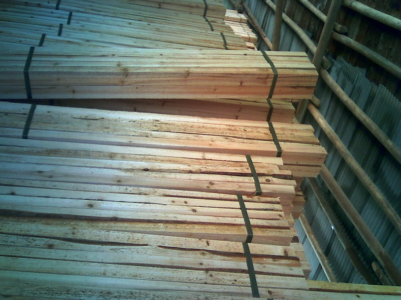 �c(di��n)���鿴ɼľ�l�Ŵ�DƬ