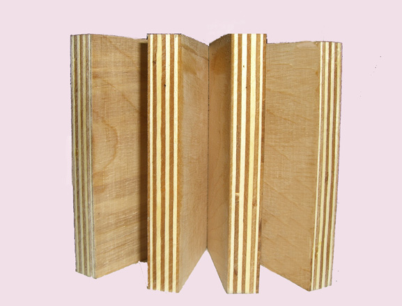 �c���鿴�ذ���ķŴ�DƬ