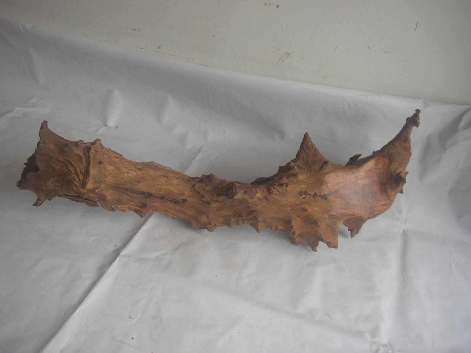 �����S����09-4-16#��Ԕ����B