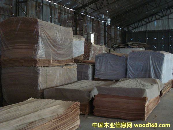 �һ�оľƤ��Ԕ��(x��)��B