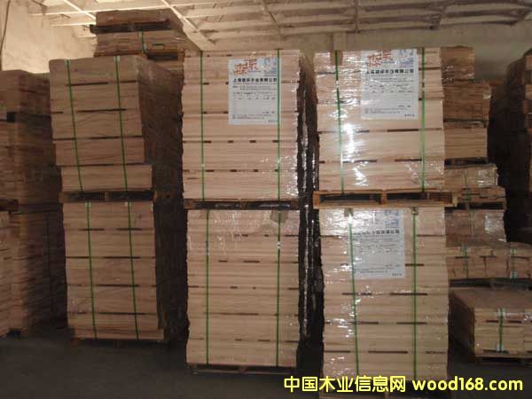 �t�� �ӗ� �ذ����ϵ�Ԕ��(x��)��B