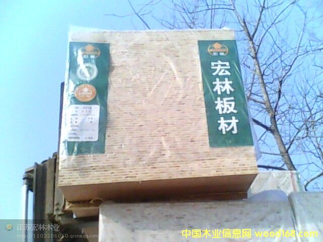 ��(x��)ľ�����Ԕ��(x��)��B