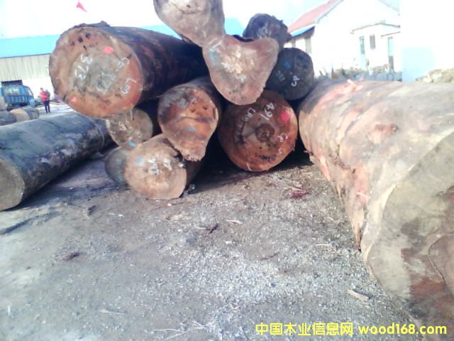 �c(di��n)���鿴�sľԭľ�Ŵ�DƬ