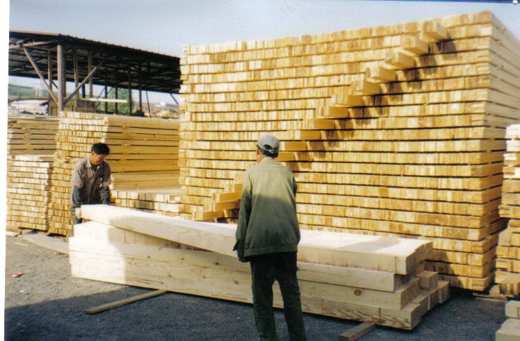 ����ľ����������ľë�ϵ�Ԕ��(x��)��B