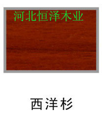 ��ľ�����b��Ԕ����B