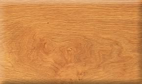 ���������Ԕ��(x��)��B