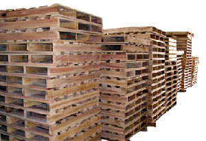 �����Ԕ����B