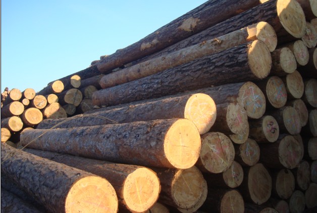 �c���鿴�����ɷŴ�DƬ
