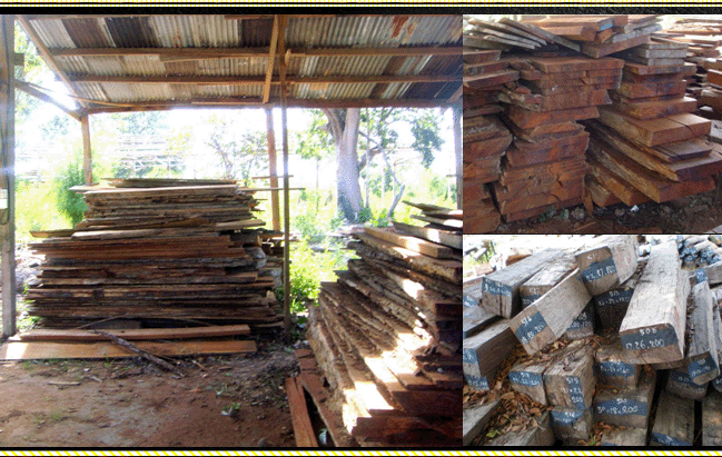 �c(di��n)���鿴��ֺ�S̴����t��֦���Ŵ�DƬ