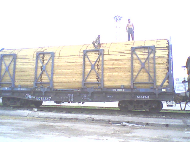 �c(di��n)���鿴������ľ�Ŵ�DƬ