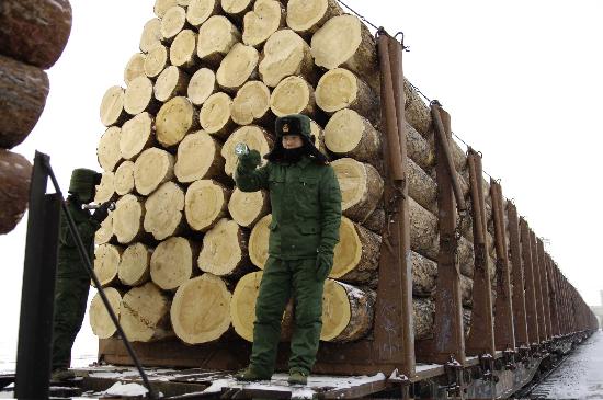 �c(di��n)���鿴������ԭľ�Ŵ�DƬ