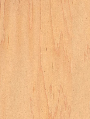 �c(di��n)���鿴��ľ��Ƭ�Ŵ�DƬ