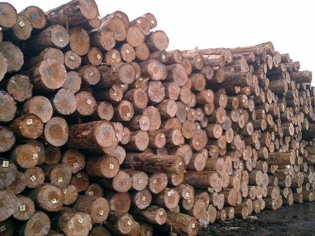 �c���鿴ݗ���ɷŴ�DƬ