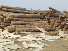 �c���鿴�M�������mݗ���ɷŴ�DƬ