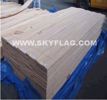 ������N0.6����ɽ�y�Ҿ��ϴ�˦�u    �{�����