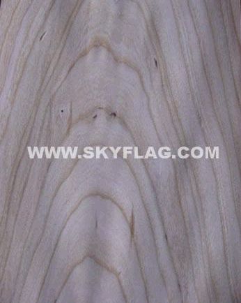 ������N����ɽ�y�Ҿ���     �{�����