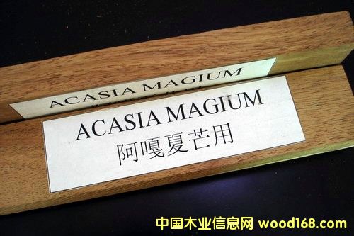 ľ�ذ��������ذ����