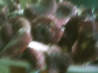 Ұ���t����Ԕ��(x��)��B