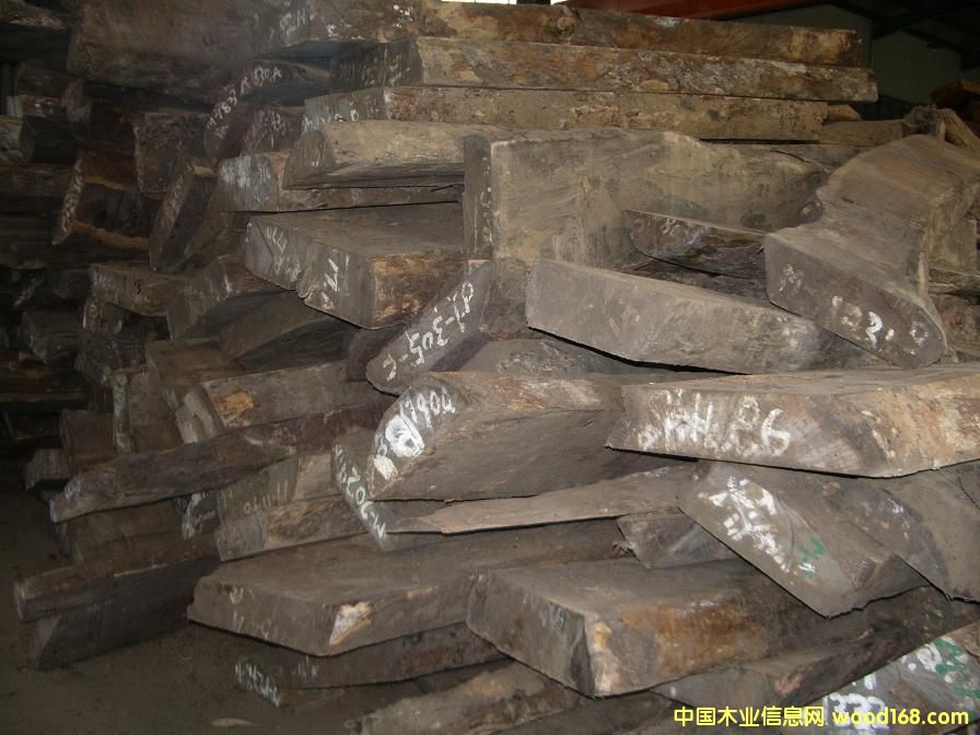 Ƥ�ҵ�Ԕ����B