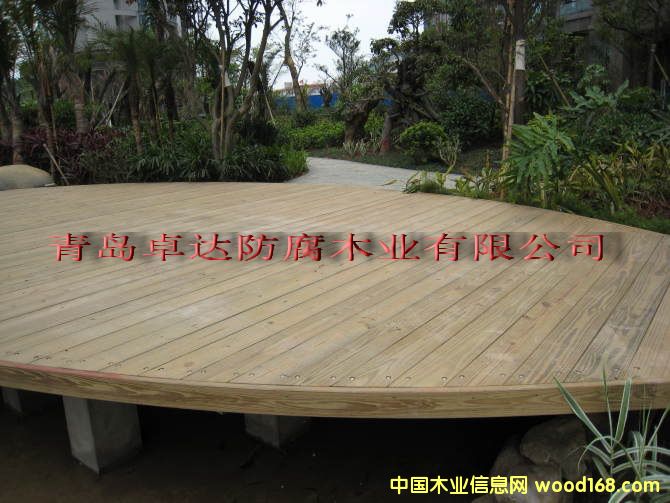 ����ľ��Ԕ����B