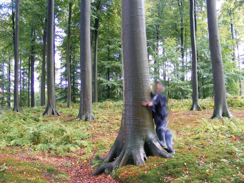 ��ľ����ԭľ��Ԕ����B