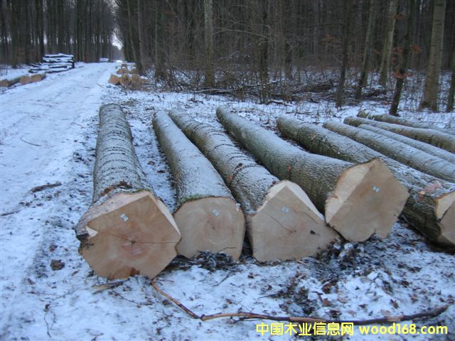 �W��ˮ����ԭľ��Ԕ��(x��)��B