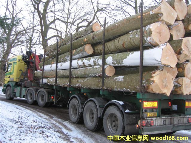 �W�ް�˨ԭľ��Ash logs)��Ԕ��(x��)��B