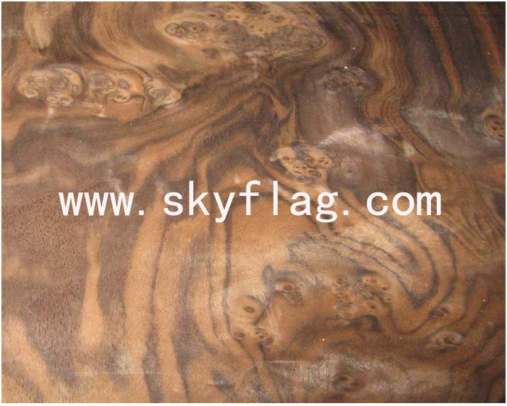 �ں��Ҙ����Ԕ��(x��)��B