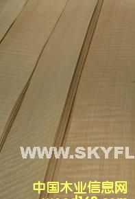 ��������(y��ng)�tӰľƤ����Ԕ��(x��)��B