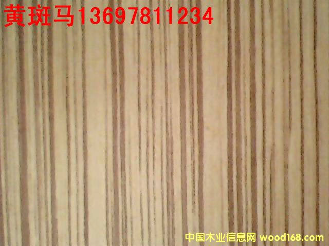 �S���R��Ԕ��(x��)��B