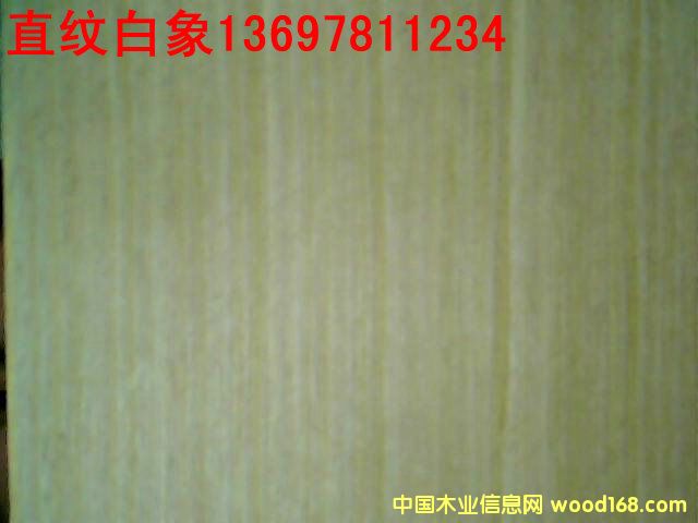 ֱ�y�����Ԕ��(x��)��B