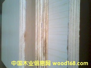 ���ӌ�(sh��)ľ�N����Ԕ��(x��)��B