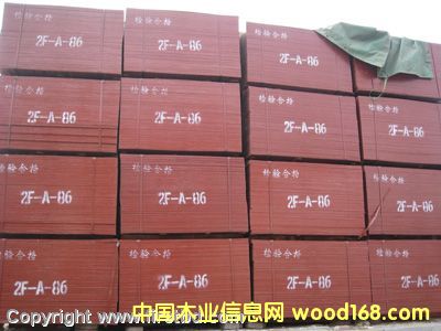 ���z���Ԕ��(x��)��B