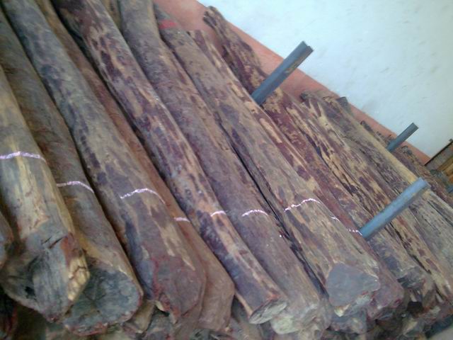 �ؼ�С�~��̴��Ԕ��(x��)��B