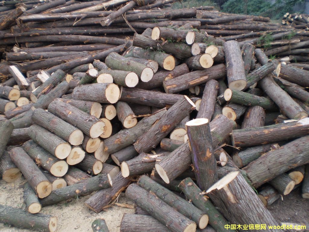 ��(chu��ng)�I(y��)��ľ��Ԕ��(x��)��B