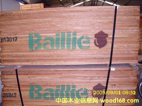 �������Ұ�ĵ�Ԕ����B