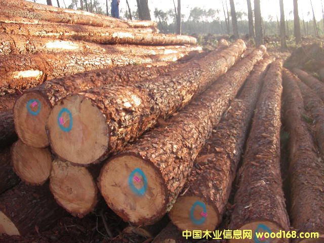 �����ɵ�Ԕ��(x��)��B