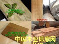 ɽ�|����ľ������ľ�����}���Ԕ��(x��)��B