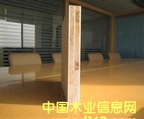 �����ƺ�о��ľ�T�����T�װ�ϵ�� ��Ԕ����B