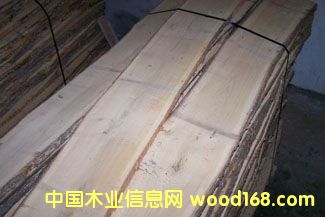 �������ĵ�Ԕ����B