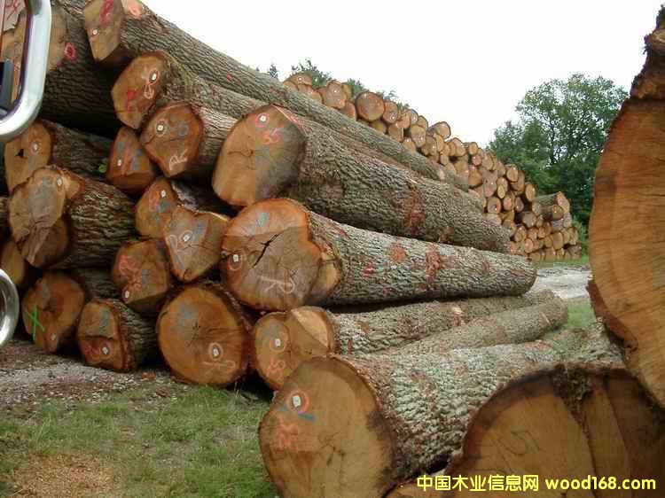 �W�ް���ԭľ��Ԕ����B