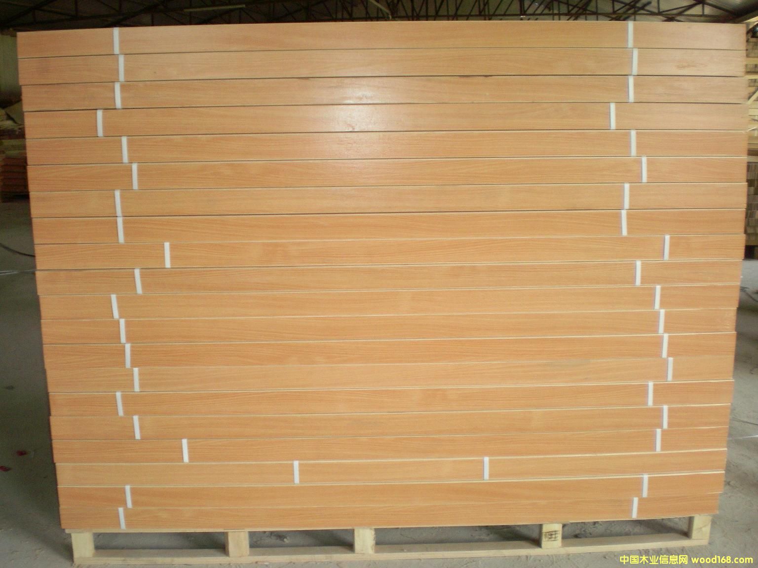 �����N�������Ԕ��(x��)��B