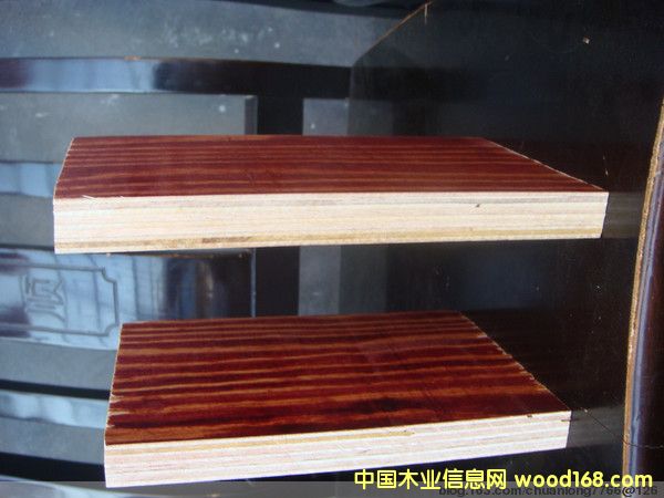 ����ţ����ˮ����(zhu��n)�ý���ģ��3