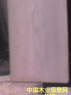 �c(di��n)���鿴��ľ�Ŵ�DƬ