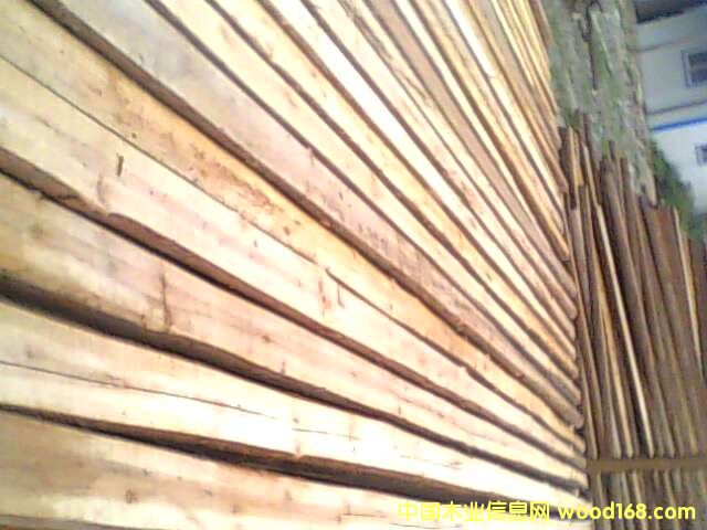 �����ɼľ��Ԕ��(x��)��B